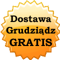 Koszt dostawy